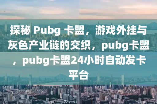 探秘 Pubg 卡盟，游戏外挂与灰色产业链的交织，pubg卡盟，pubg卡盟24小时自动发卡平台