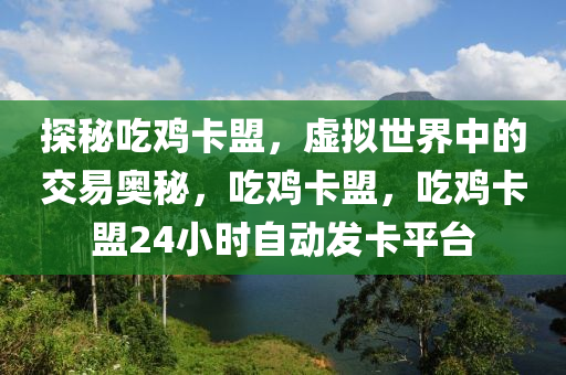 探秘吃鸡卡盟，虚拟世界中的交易奥秘，吃鸡卡盟，吃鸡卡盟24小时自动发卡平台