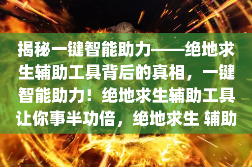 揭秘一键智能助力——绝地求生辅助工具背后的真相，一键智能助力！绝地求生辅助工具让你事半功倍，绝地求生 辅助