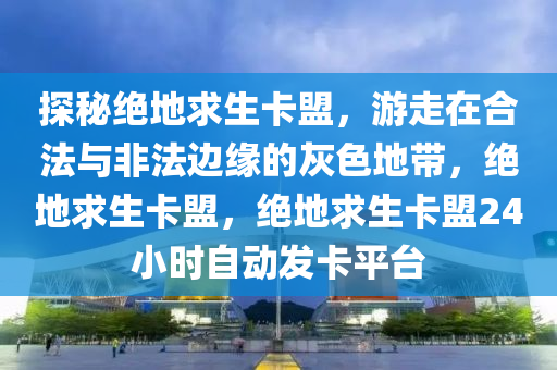 探秘绝地求生卡盟，游走在合法与非法边缘的灰色地带，绝地求生卡盟，绝地求生卡盟24小时自动发卡平台