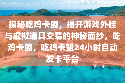 探秘吃鸡卡盟，揭开游戏外挂与虚拟道具交易的神秘面纱，吃鸡卡盟，吃鸡卡盟24小时自动发卡平台