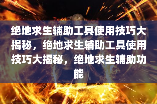 绝地求生辅助工具使用技巧大揭秘，绝地求生辅助工具使用技巧大揭秘，绝地求生辅助功能