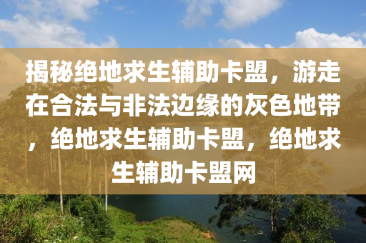 揭秘绝地求生辅助卡盟，游走在合法与非法边缘的灰色地带，绝地求生辅助卡盟，绝地求生辅助卡盟网