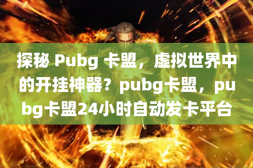 探秘 Pubg 卡盟，虚拟世界中的开挂神器？pubg卡盟，pubg卡盟24小时自动发卡平台