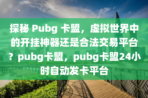 探秘 Pubg 卡盟，虚拟世界中的开挂神器还是合法交易平台？pubg卡盟，pubg卡盟24小时自动发卡平台