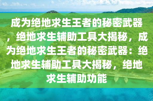 成为绝地求生王者的秘密武器，绝地求生辅助工具大揭秘，成为绝地求生王者的秘密武器：绝地求生辅助工具大揭秘，绝地求生辅助功能